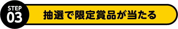 STEP3 抽選で豪華賞品が当たる